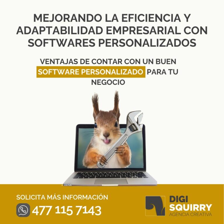 Ventajas de Softwares Personalizados